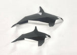Orca Family