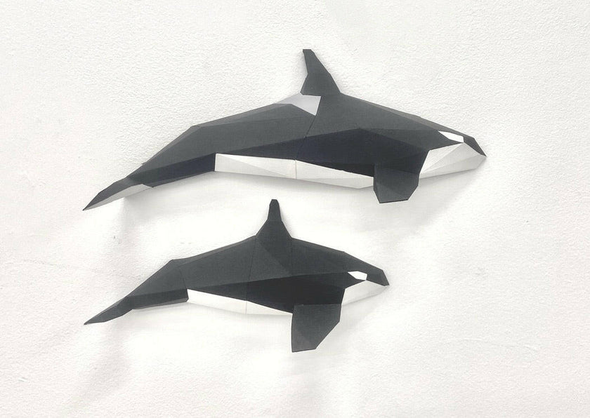 Orca Family