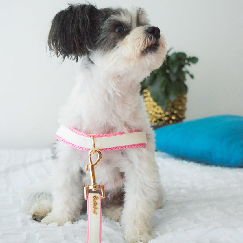 My Baby Girl Collar