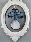 Charles Tuxedo Suit