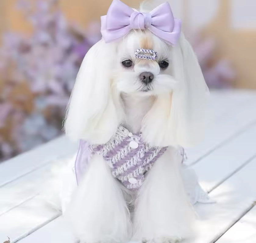 Lavender Dream Dress – Luxury Dog Dress
