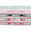 Customized Name Dog Collar | Personalized Pet Collar