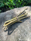 Willow Branch Bundle for Rabbits