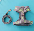 Chewy Pawtton Dog Harness and Leash Set | Dog Walking Outfit