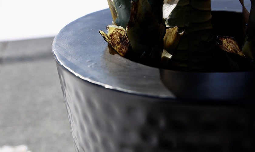 Mesa - Black Brass Planter (Multiple Sizes)