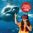 ABACUS - Réalité Virtuelle - OCEANS