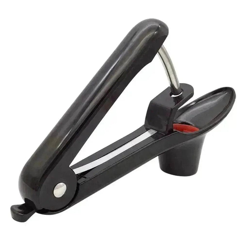 ABS Plastic Stainless Steel Fruit Core Puller