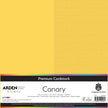 Arden Creative Studio Premium Cardstock 12in x 12in 300gsm 20 Pack