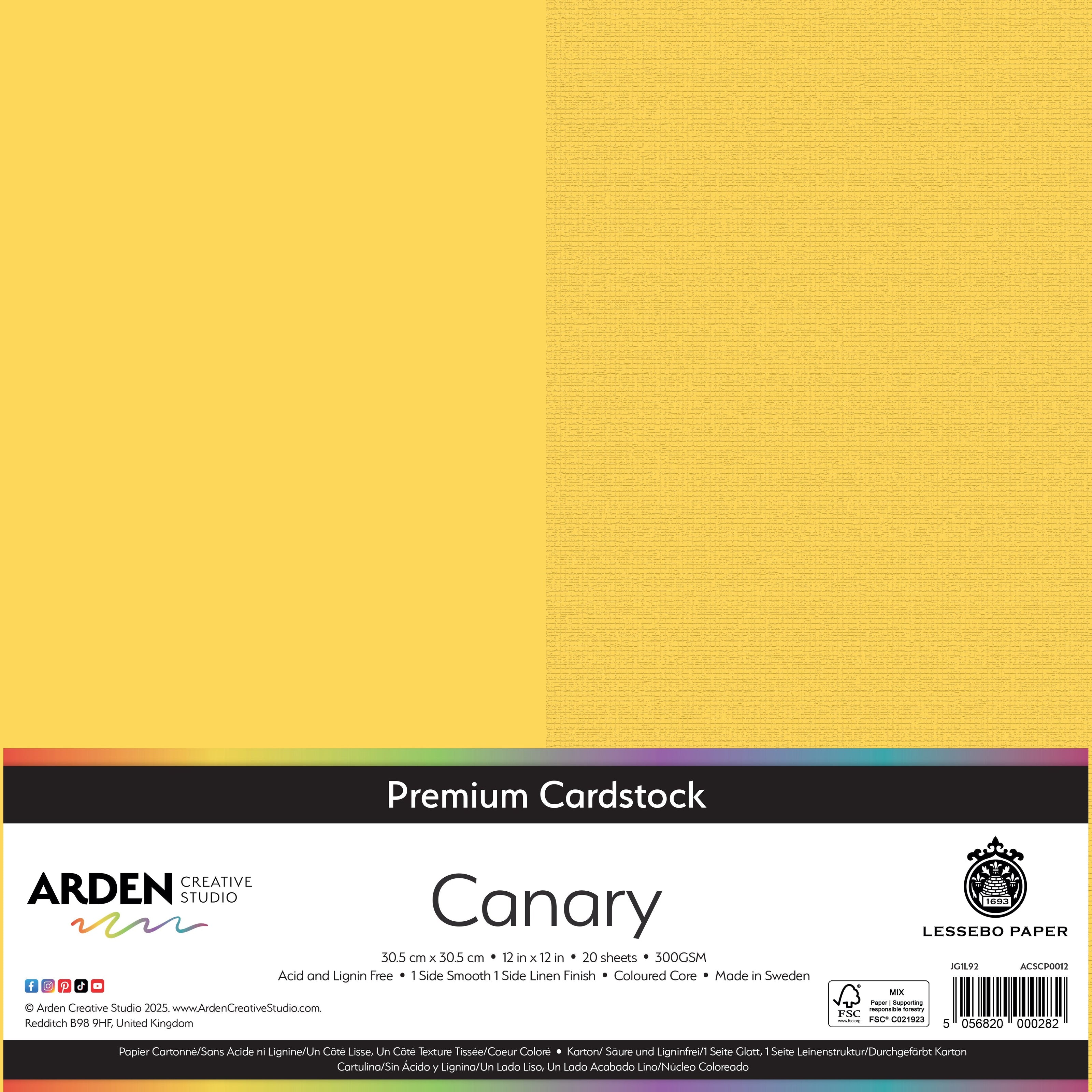 Arden Creative Studio Premium Cardstock 12in x 12in 300gsm 20 Pack