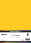 Arden Creative Studio Premium Cardstock A4 225gsm 20 Pack