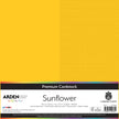 Arden Creative Studio Premium Cardstock 12in x 12in 300gsm 20 Pack