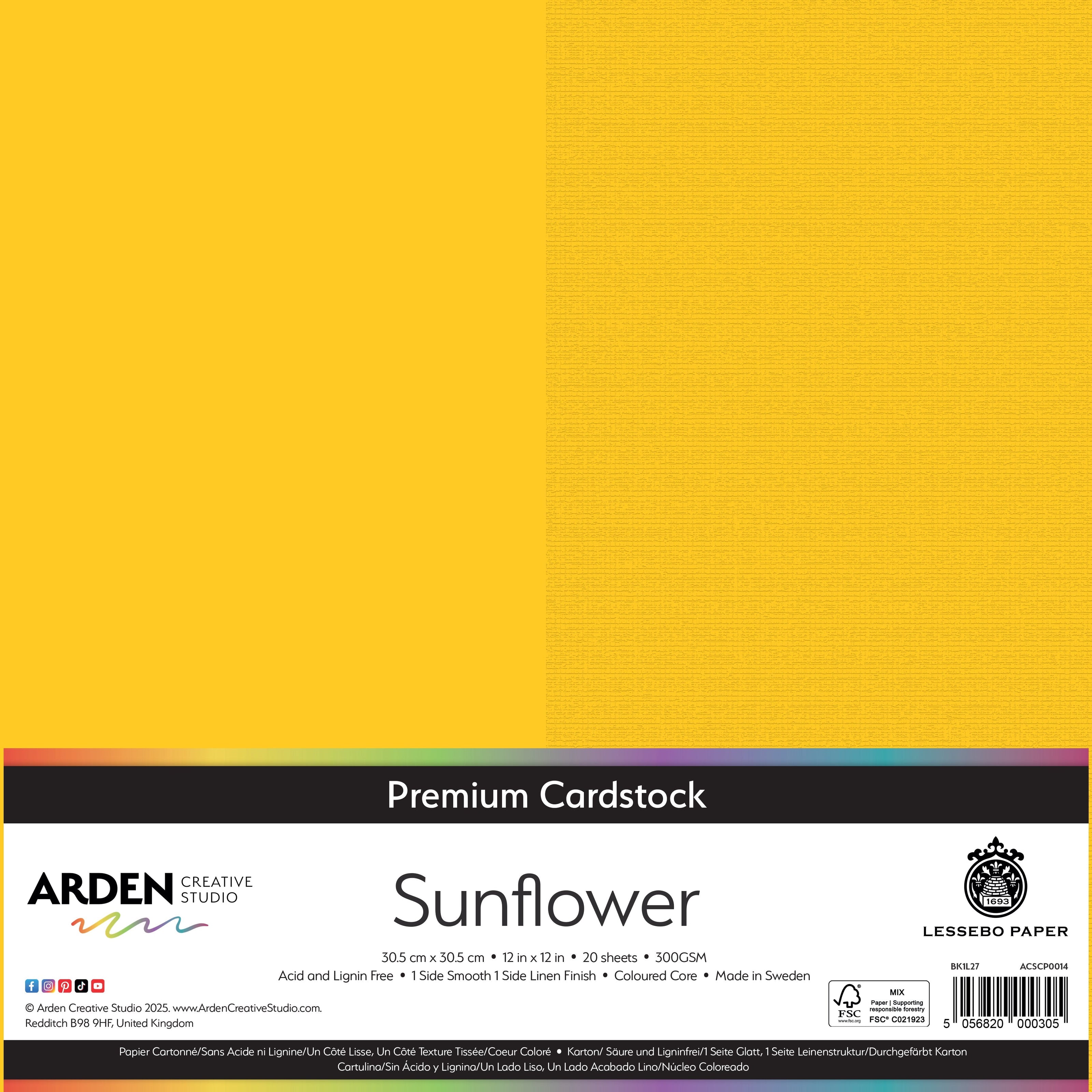 Arden Creative Studio Premium Cardstock 12in x 12in 300gsm 20 Pack