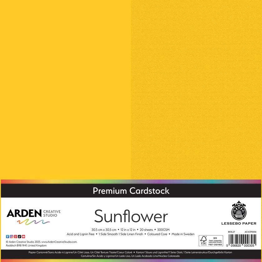 Arden Creative Studio Premium Cardstock 12in x 12in 300gsm 20 Pack