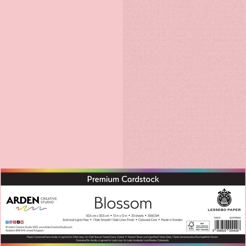 Arden Creative Studio Premium Cardstock 12in x 12in 300gsm 20 Pack