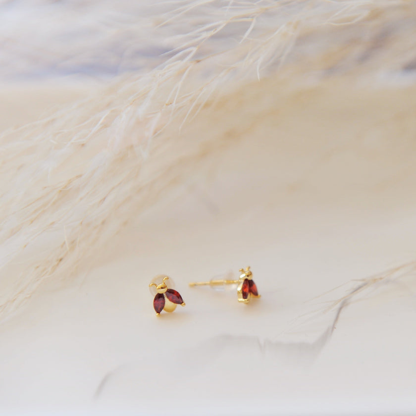 Ladybug