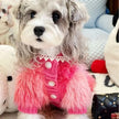 Dog Sweater | I’m Fabulous Dog Sweater