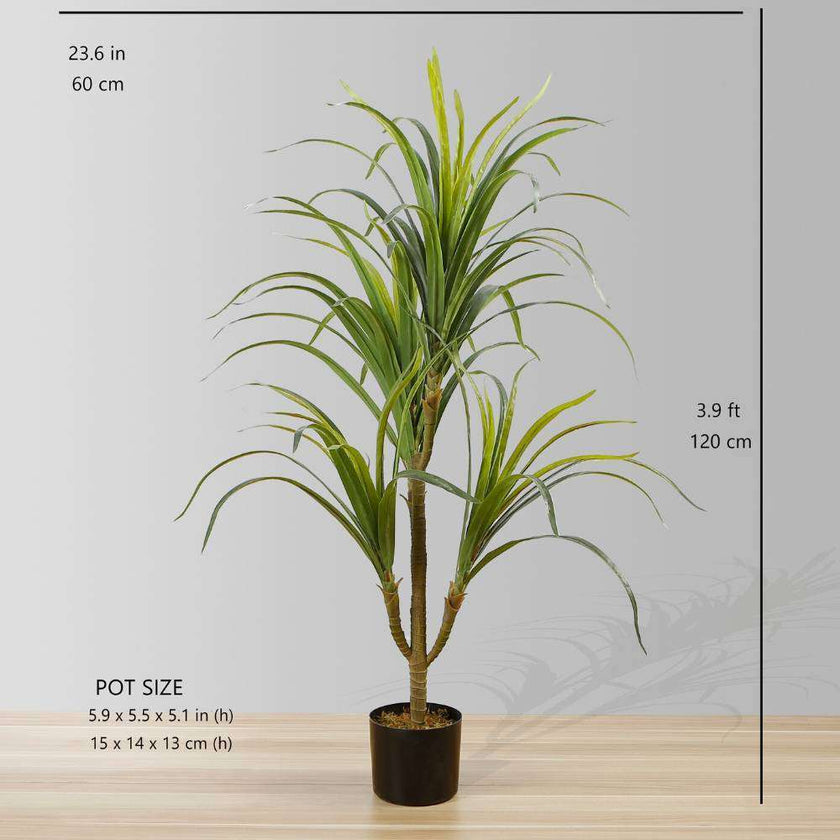 Aga Artificial Century Potted Plant 47''