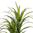Aga Artificial Century Potted Plant 47''