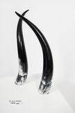 Ankole Dark Decorative Horn Set