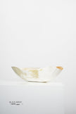 Ankole & Gyr Horn Light Organic Vessel