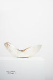 Ankole & Gyr Horn Light Organic Vessel