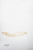 Ankole & Gyr Horn Light Oval  Vessel