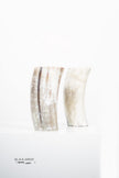Ankole & Gyr Horn Light Vase