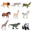 ALEX - World of Animal