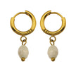 ALEX Gold: Mini Hoop Earrings with Natural Freshwater Pearl Charm – Elegance in Every Detail