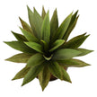 Aloa Artificial Aloe Tree Potted Plant 20''