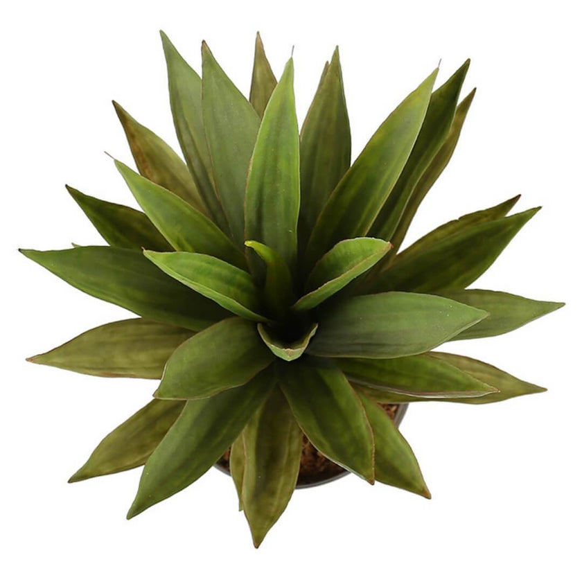 Aloa Artificial Aloe Tree Potted Plant 20''