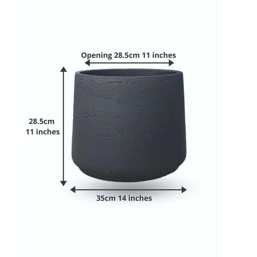 Anto Black Cement Planter 13''