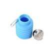 AO Collapsible Water Bottle