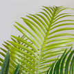 Arlo Artificial Hawaii Kwai Palm Tree Potted Plant (Multiple Sizes)