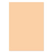 A4 Adorable Scorable Cardstock 10 Sheets