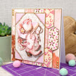 Adorable Scorable Designer Card Packs - Wild West