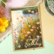Adorable Scorable Designer Card Packs - Tranquil Impressions