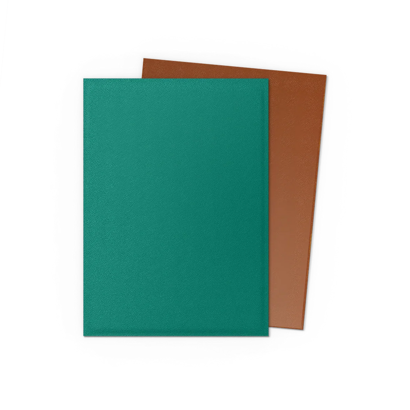 Dragon Shield Sleeves - Matte Standard (Power & Copper)