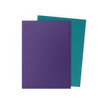 Dragon Shield Sleeves - Matte Standard (Soul & Petrol)
