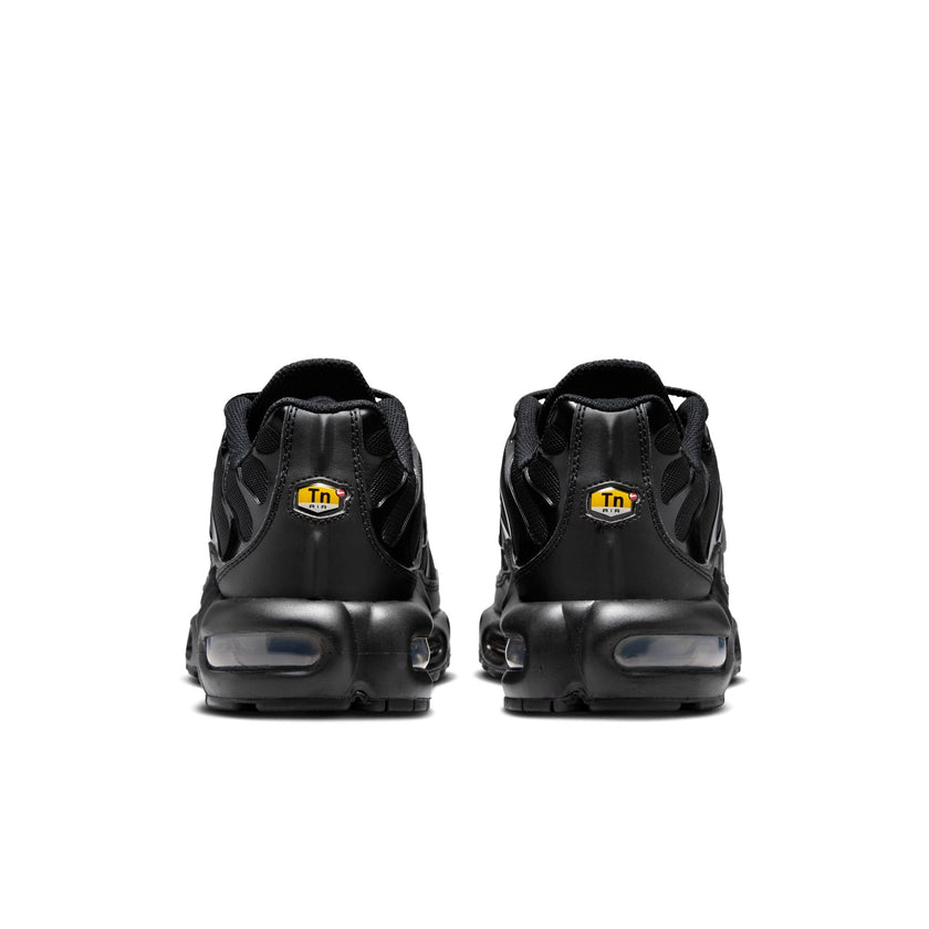W Nike Air Max Plus DM2362-002