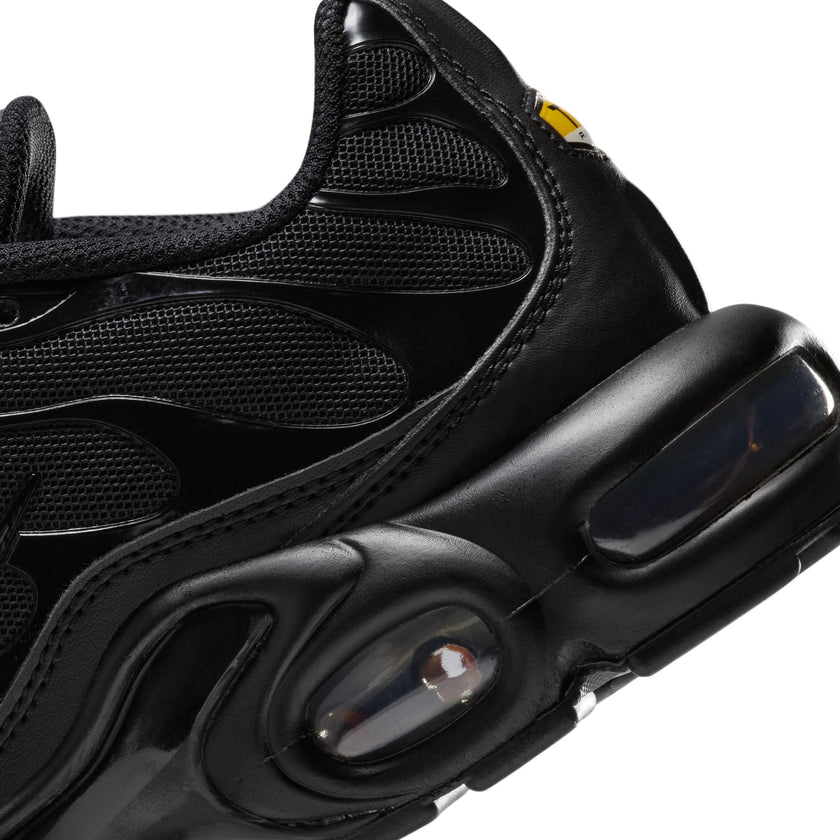 W Nike Air Max Plus DM2362-002