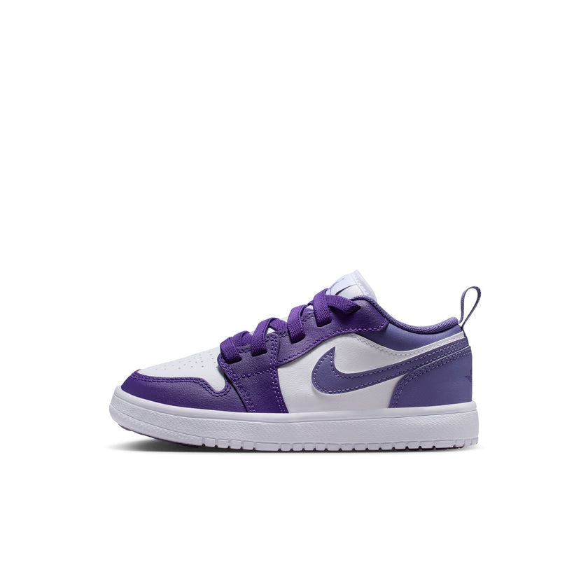 Y Jordan 1 Low Alt DR9748-551
