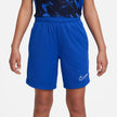 Y Nike Trophy23 DX5416-480