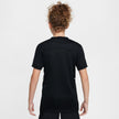 Y Nike Academy HJ3716-010