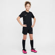 Y Nike Academy HJ3716-010