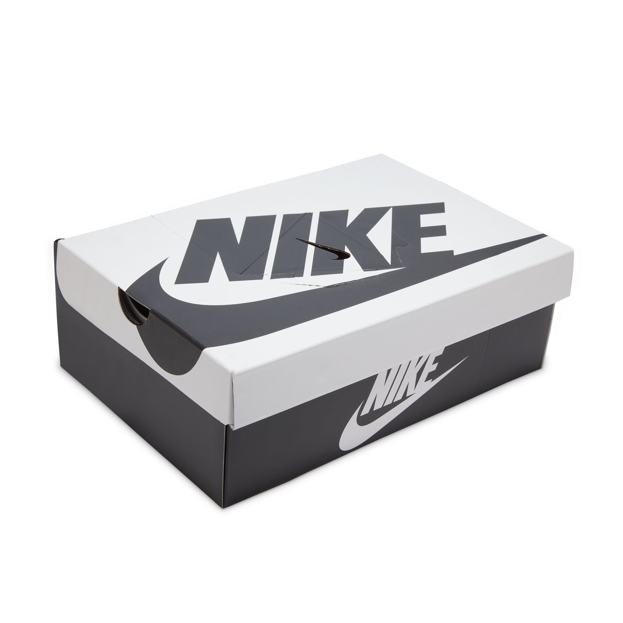 Nike Dunk Low Retro SE HQ1965-100 (taille M)