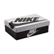M Nike Dunk Low Retro SE IB2990-100