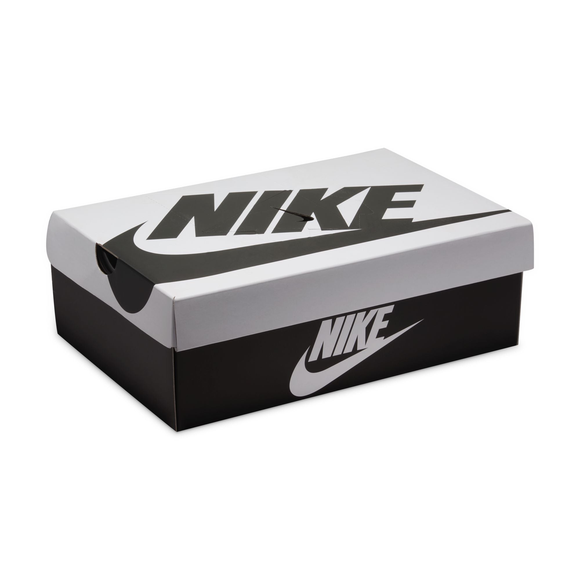 M Nike Dunk Low Retro SE IB2990-100