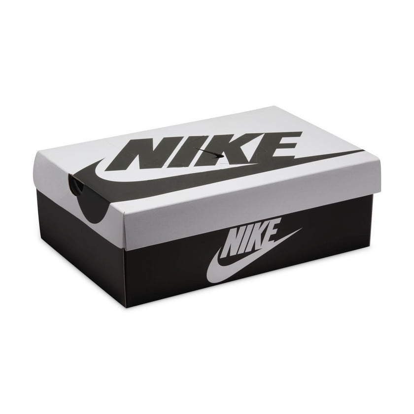 M Nike Dunk Low Retro SE IB2990-100