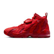 M Nike Air DT Max '96 IF1617-600